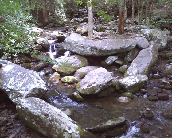 Day Hiking in Great Smoky Mountains National Park